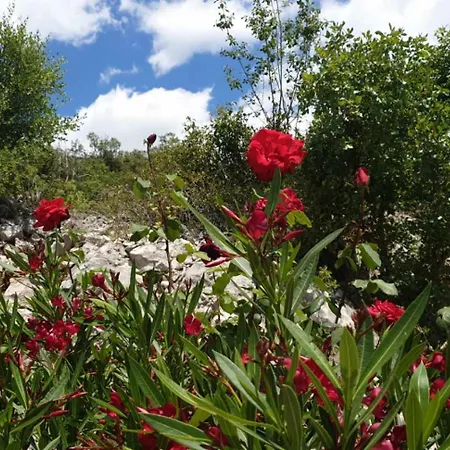 Kuca U Prirodi Li بيت للعطل