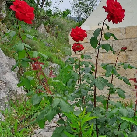 Kuca U Prirodi Li * Vrgorac