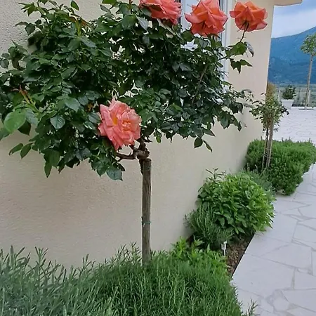 Kuca U Prirodi Li Vrgorac